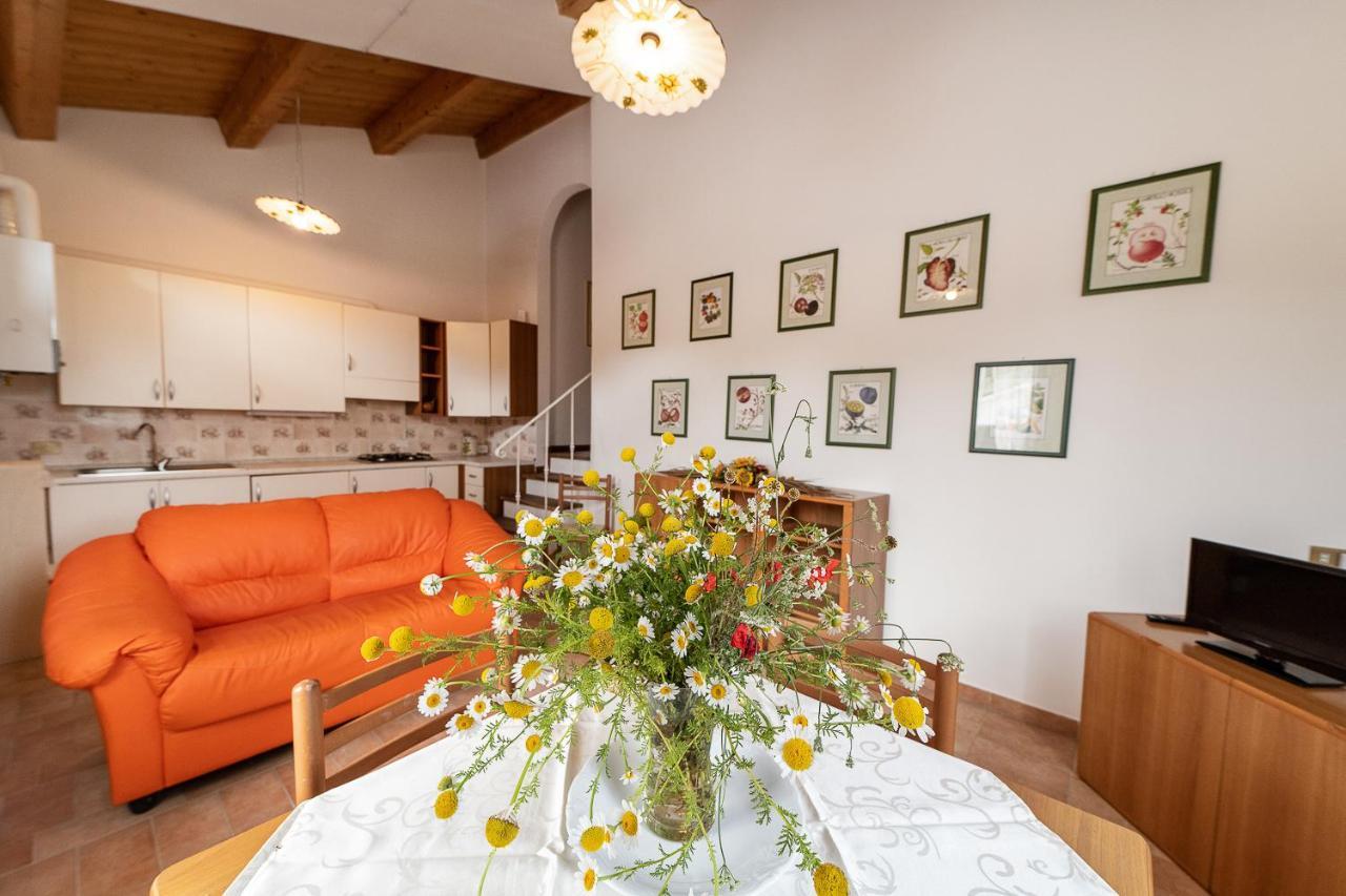 Agriturismo Podere Coldifico Sassoferrato エクステリア 写真