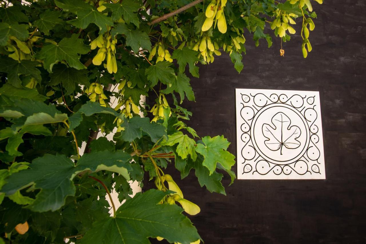 Agriturismo Podere Coldifico Sassoferrato エクステリア 写真