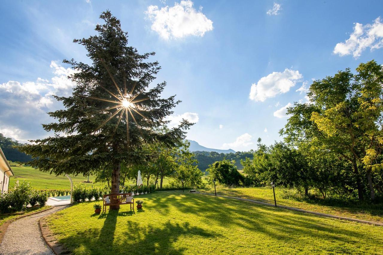 Agriturismo Podere Coldifico Sassoferrato エクステリア 写真